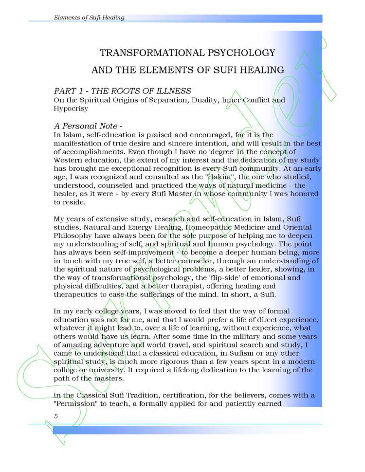 Elements of Sufi Healing by Ali Ansari_Page_05
